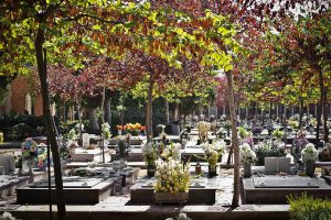 cementerio de Granada