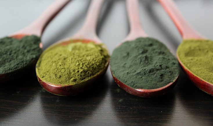 La espirulina y el embarazo