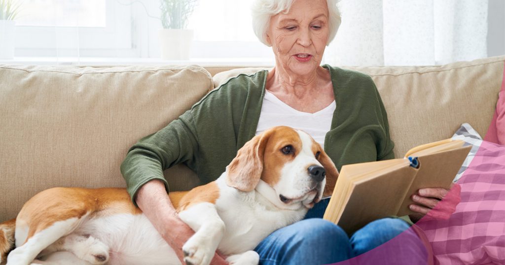 perros para personas mayores