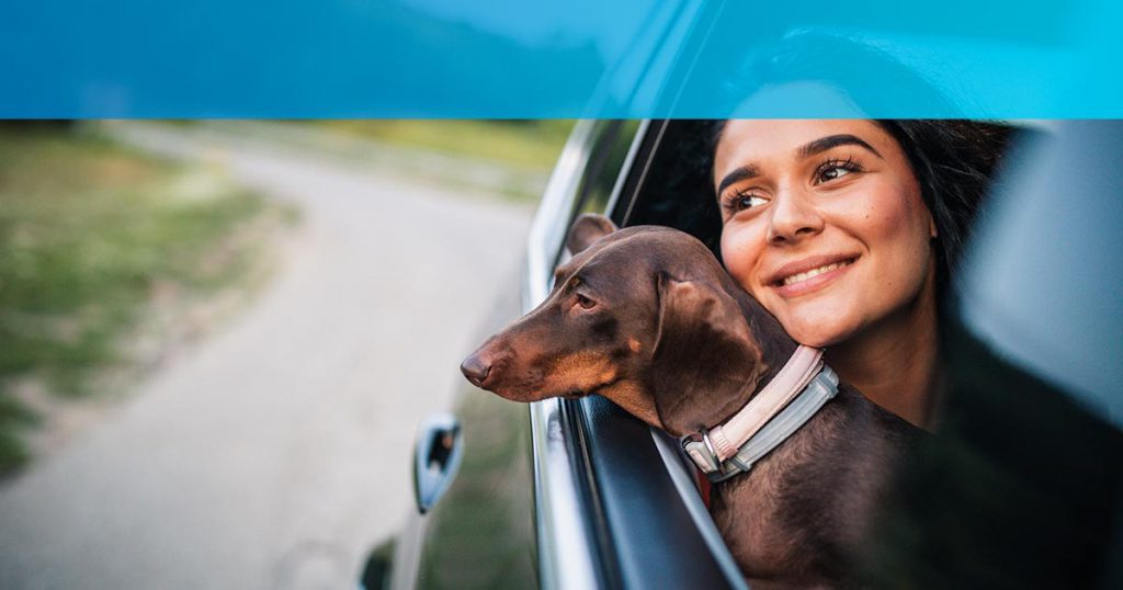 consejos para llevar al perro en el coche