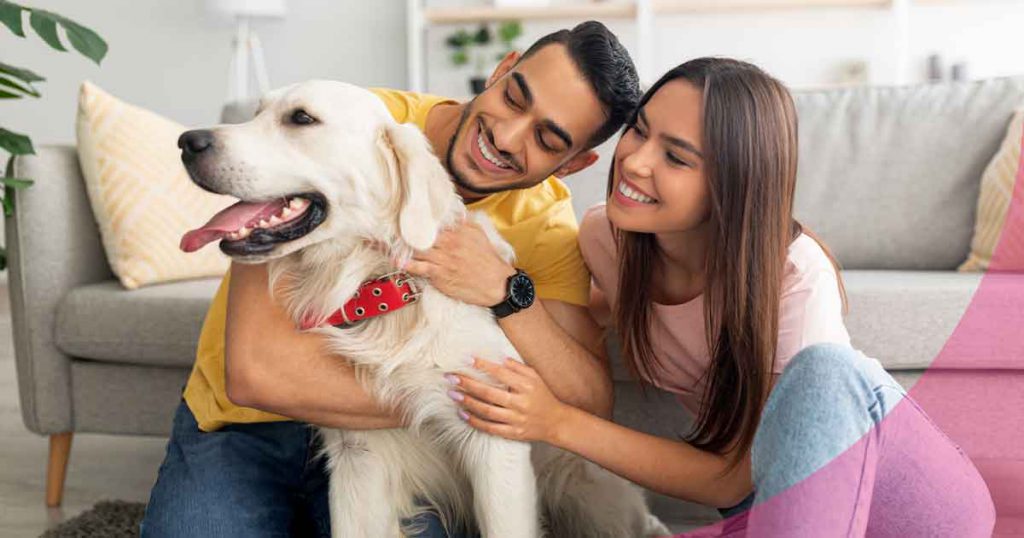 gusano del corazón en perros