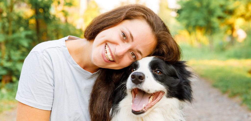 a que edad se tranquiliza un border collie