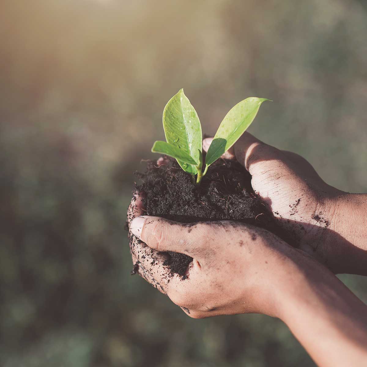 seguro responsabilidad civil medioambiental